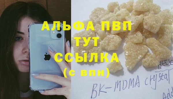 гидра Алексин