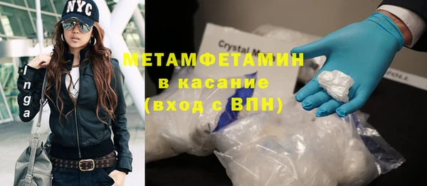 сатива Осташков