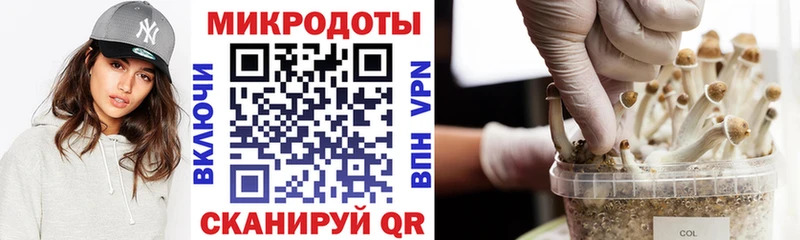 Псилоцибиновые грибы ЛСД Новокубанск